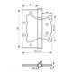 Петля дверна SIBA 100 мм універсальна накладна, полірована латунь (2BB 4'х3'х2,5mm FHP PB)