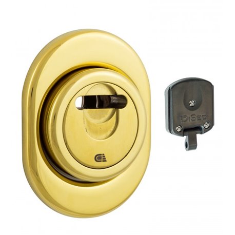 Протектор DISEC MAGNETIC_3G 3GDM LEVER_KEY OVAL 15мм Латунь_PVD 3клас 2 3KEY KM0P3G Зовнішній