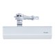 Дотягувач дверний RYOBI DS-2055V Silver BC STD HO ARM EN 3/4/5 до 100кг