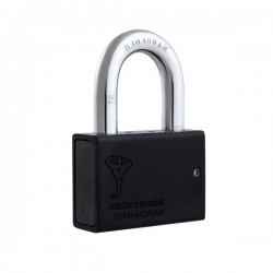 Замок навісний MUL-T-LOCK M10/C1 CLASSIC (15949)